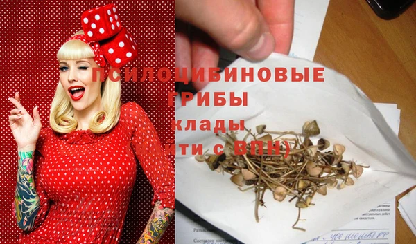 мескалин Баксан